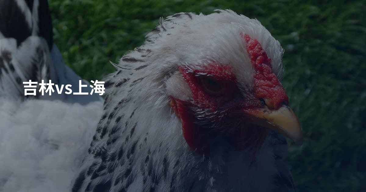 吉林vs上海