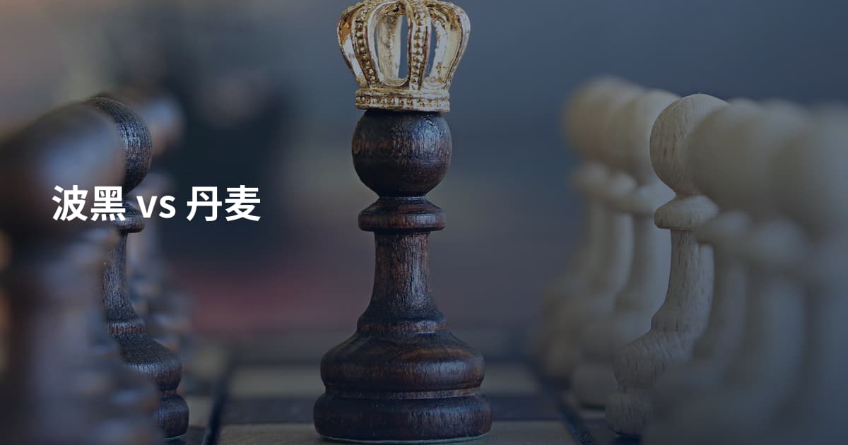 波黑 vs 丹麦