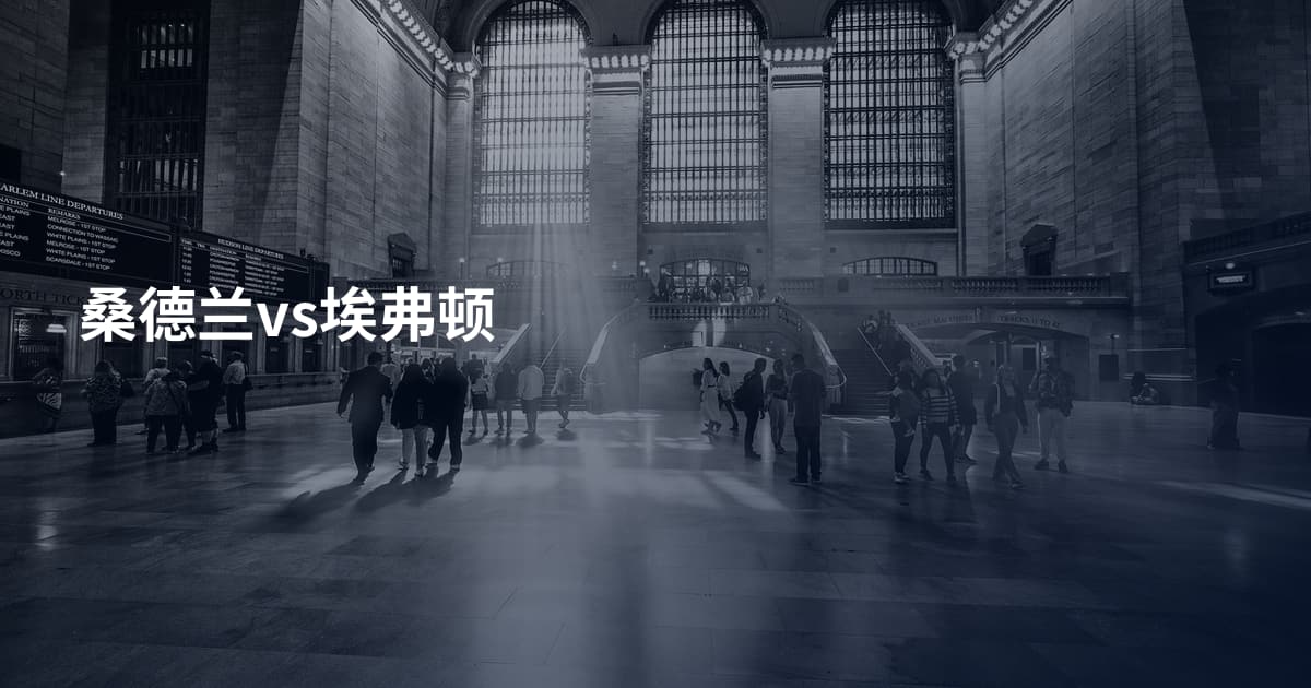 桑德兰vs埃弗顿