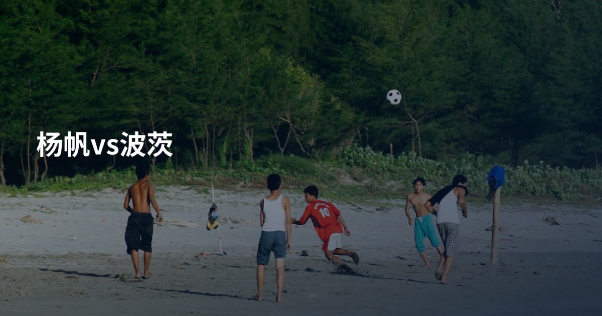 杨帆vs波茨