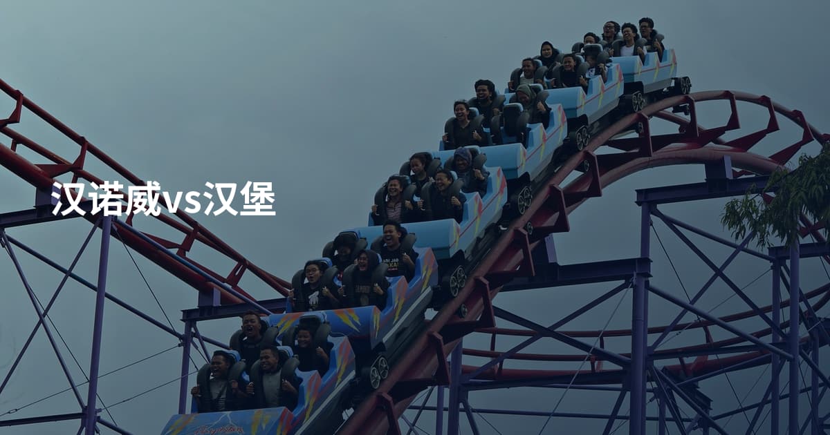 汉诺威vs汉堡