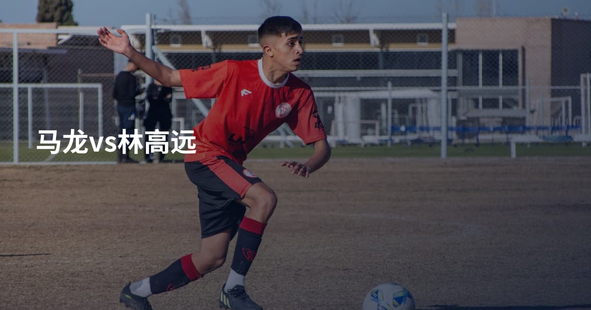 马龙vs林高远