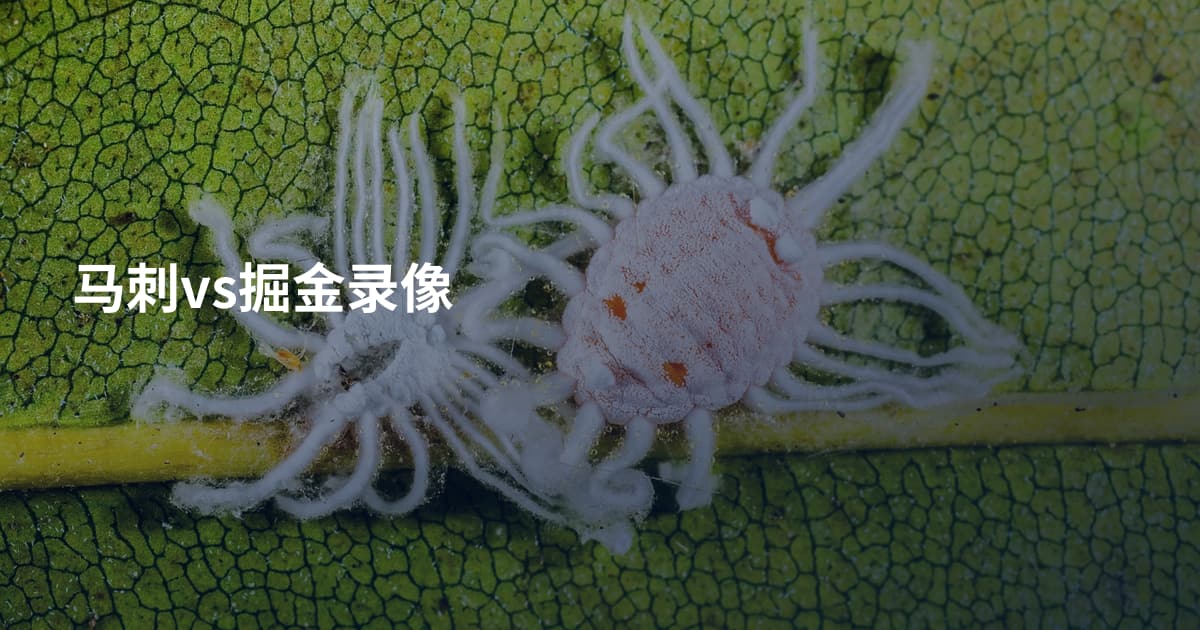 马刺vs掘金录像