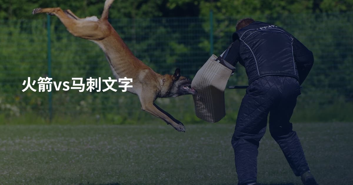 火箭vs马刺文字