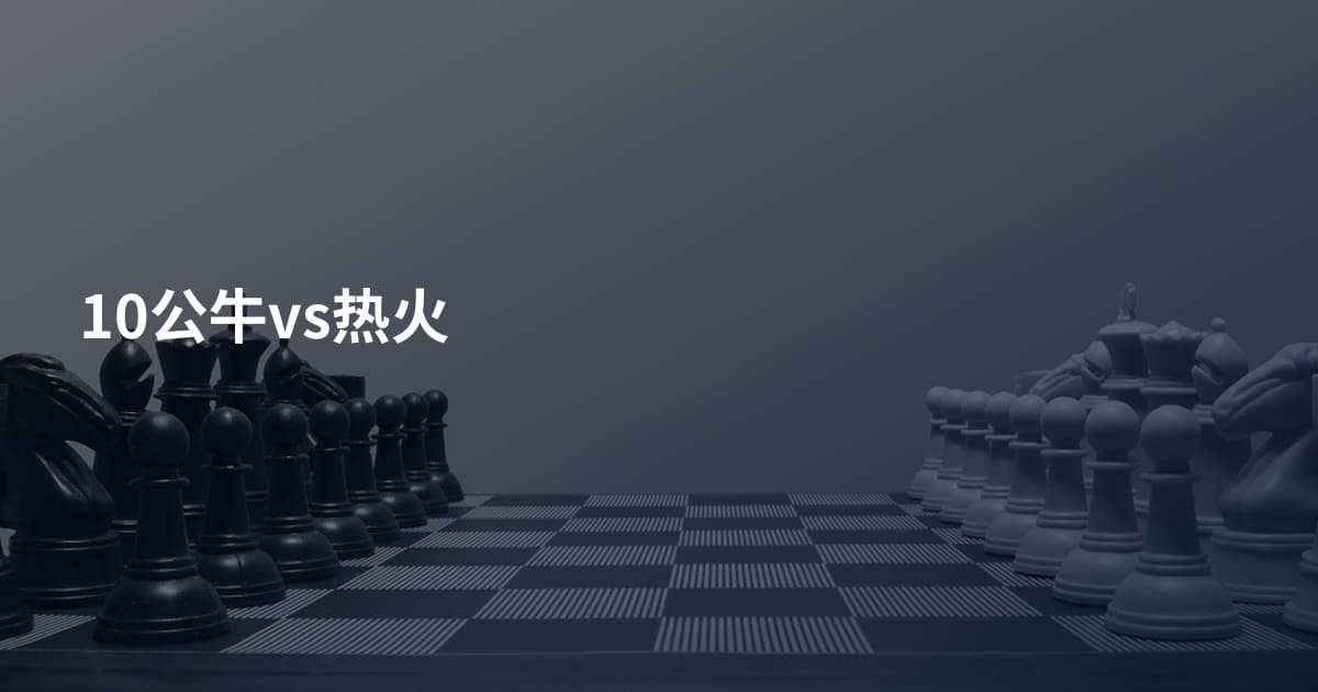 10公牛vs热火