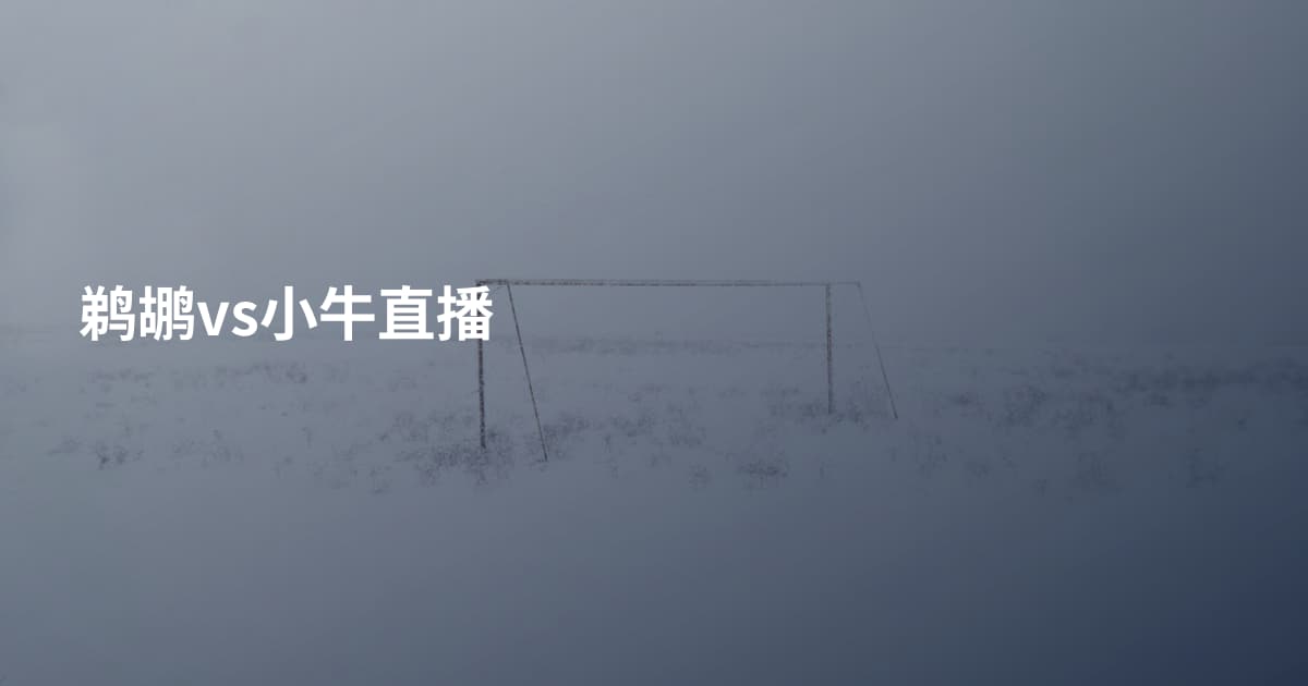 鹈鹕vs小牛直播