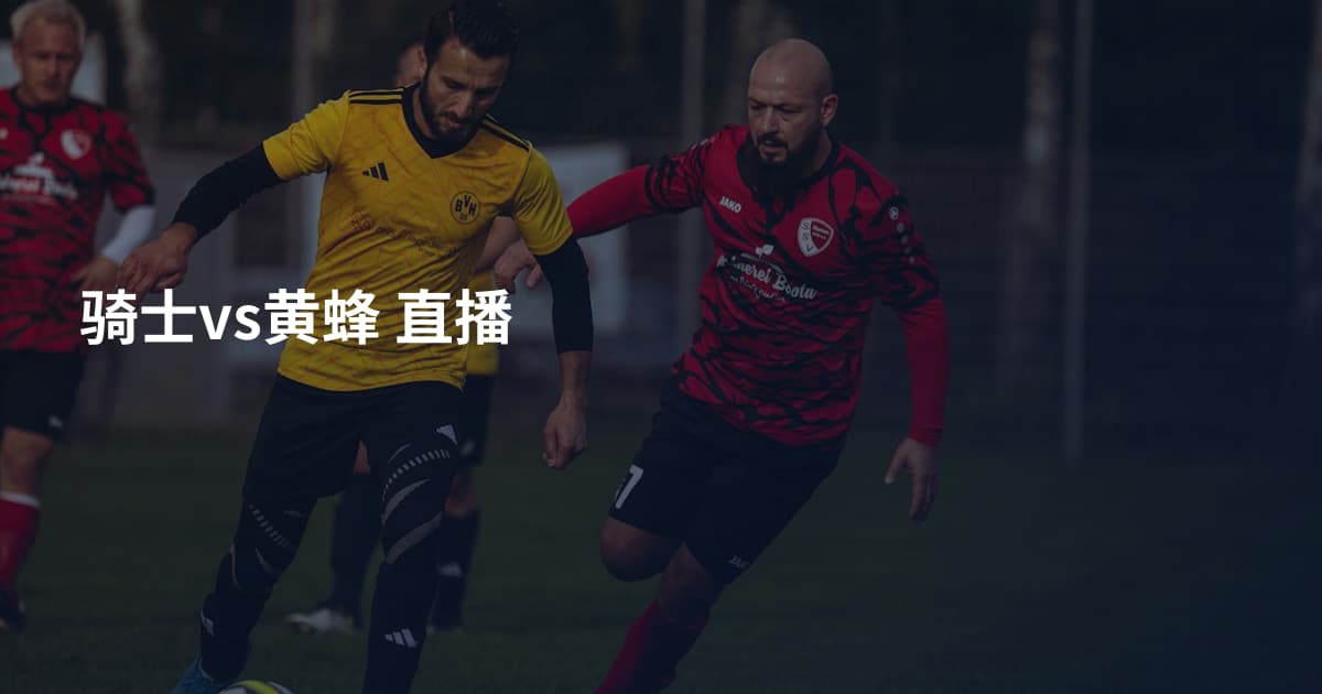 骑士vs黄蜂 直播