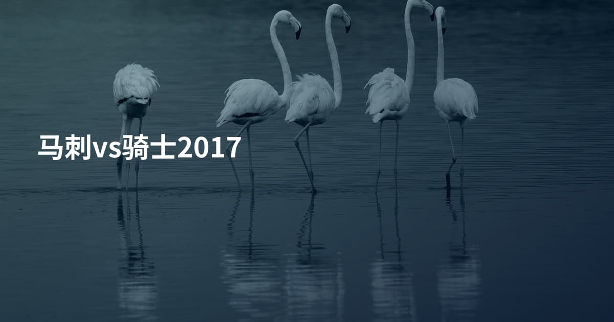 马刺vs骑士2017