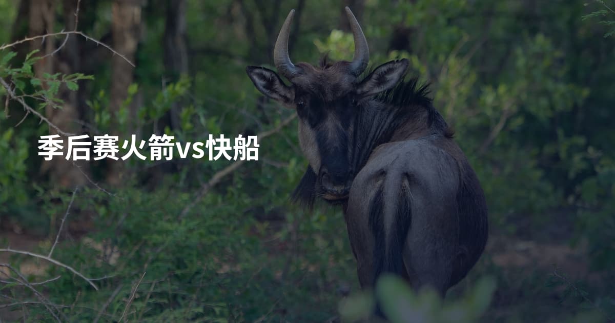 季后赛火箭vs快船