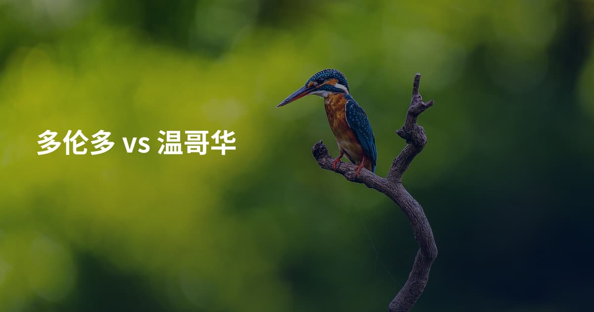 多伦多 vs 温哥华