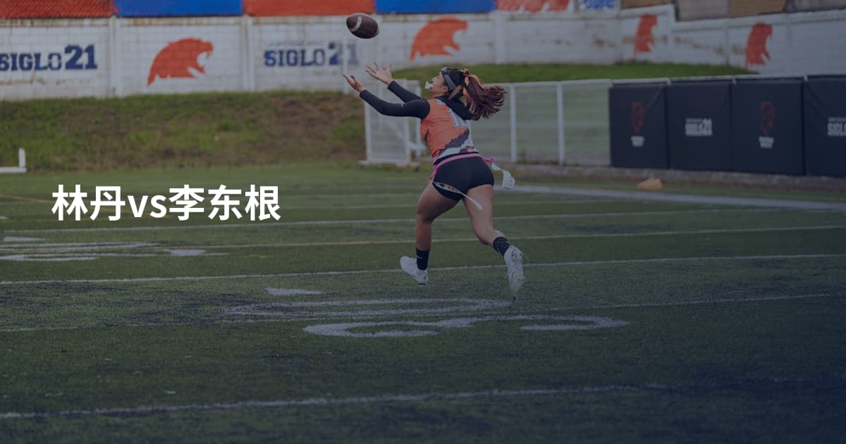 林丹vs李东根