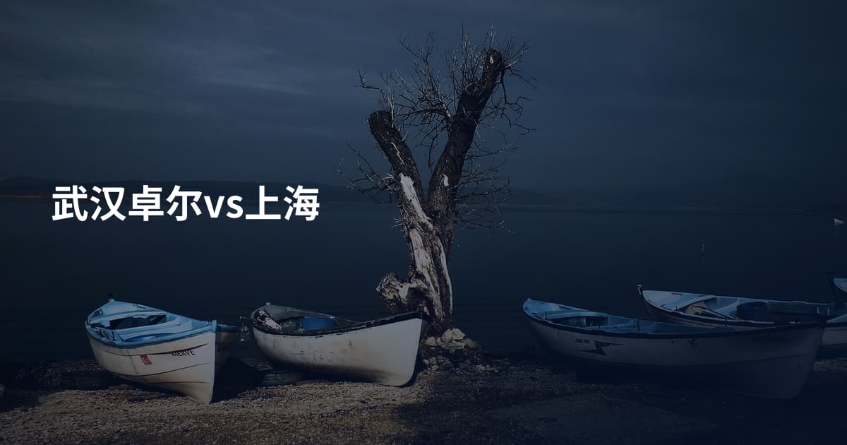 武汉卓尔vs上海