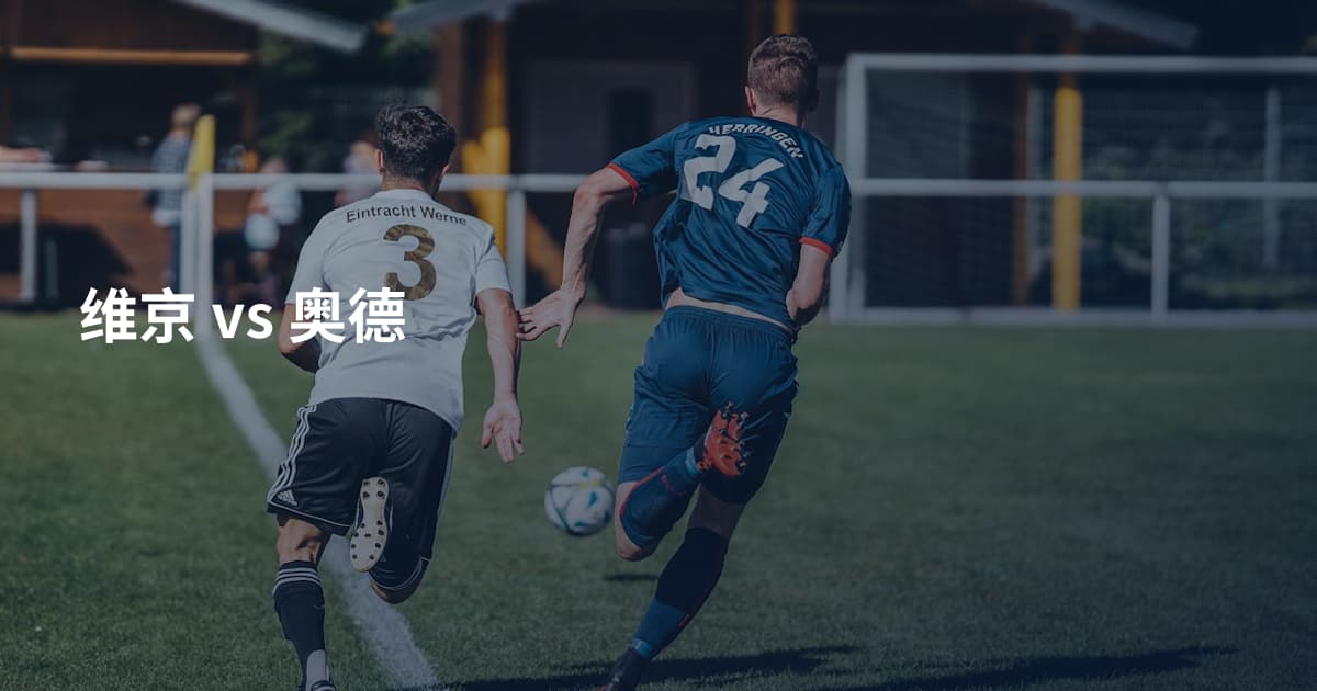 维京 vs 奥德