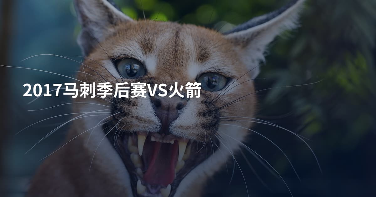 2017马刺季后赛VS火箭