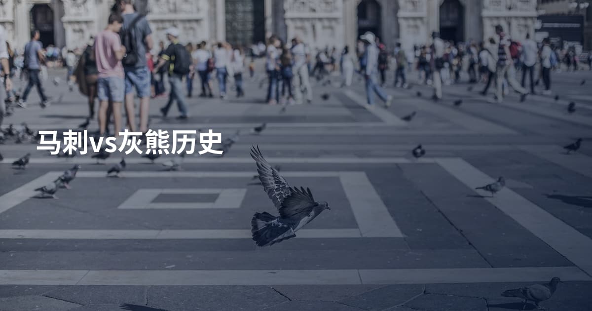 马刺vs灰熊历史