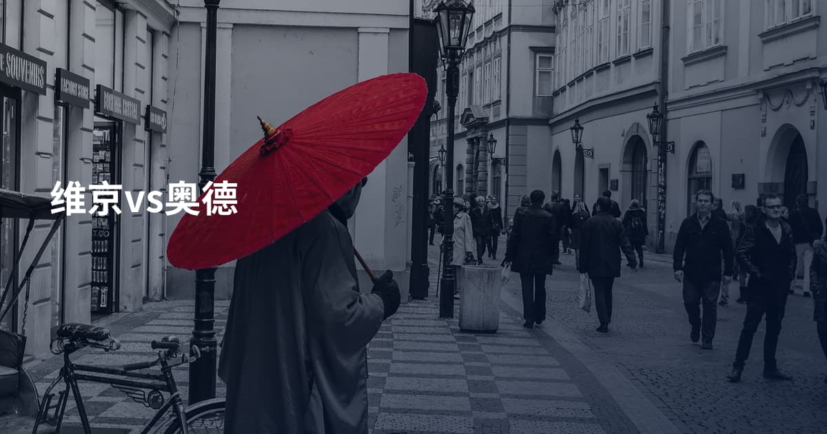 维京vs奥德