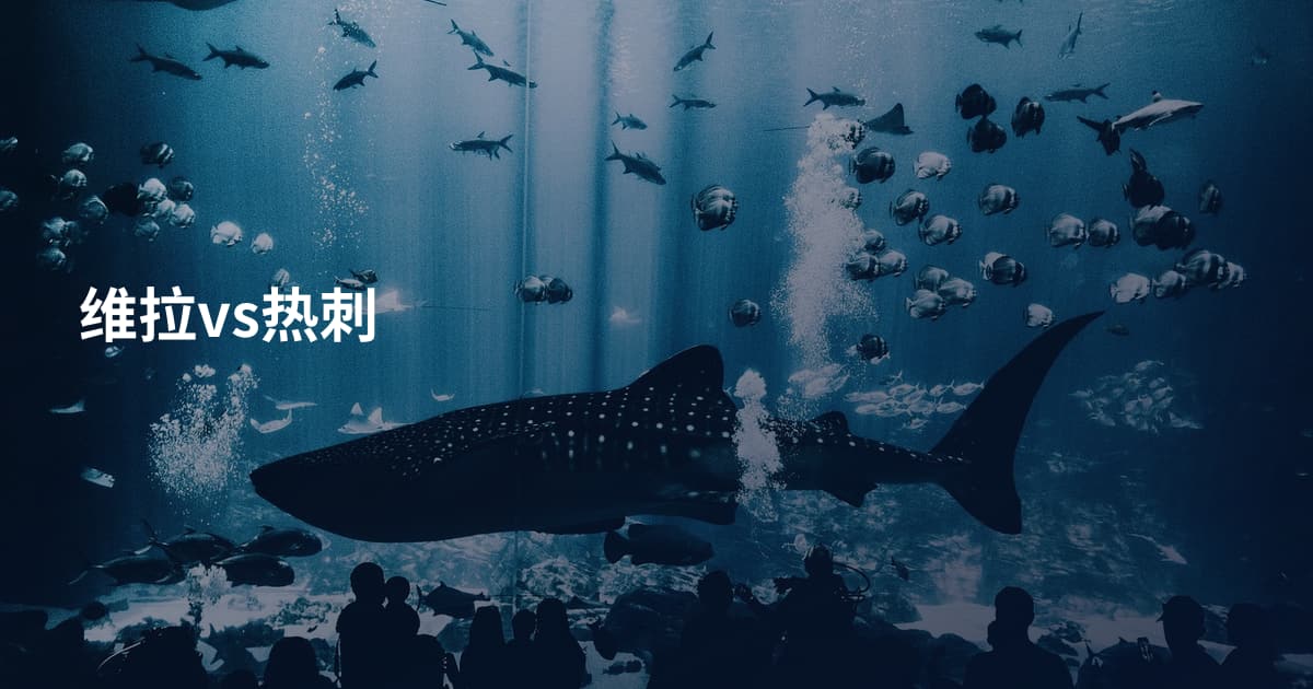 维拉vs热刺
