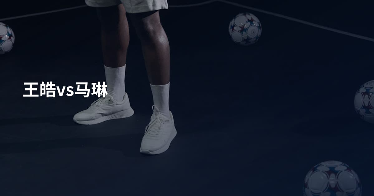 王皓vs马琳