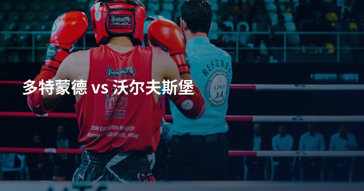 多特蒙德 vs 沃尔夫斯堡