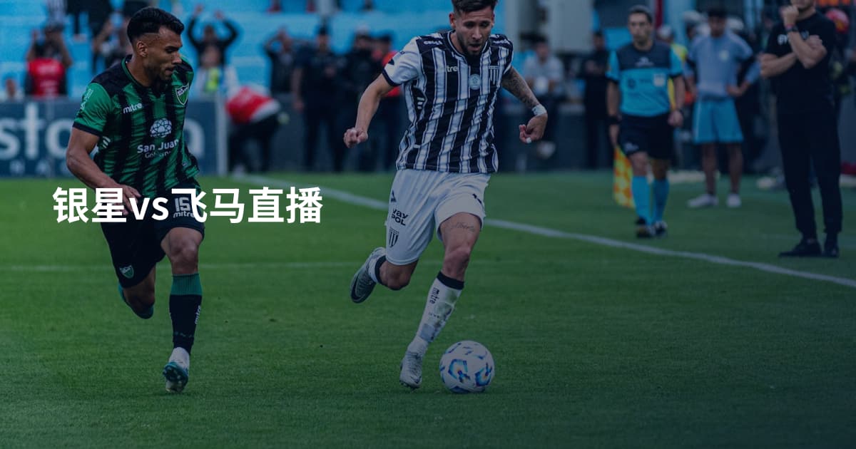 银星vs飞马直播