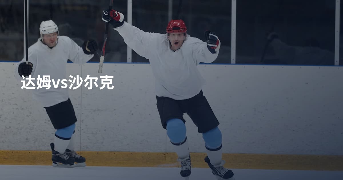 达姆vs沙尔克