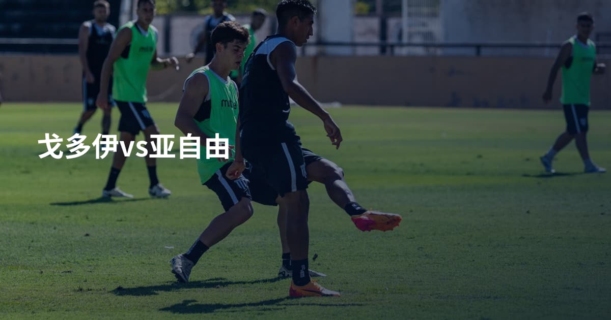 戈多伊vs亚自由