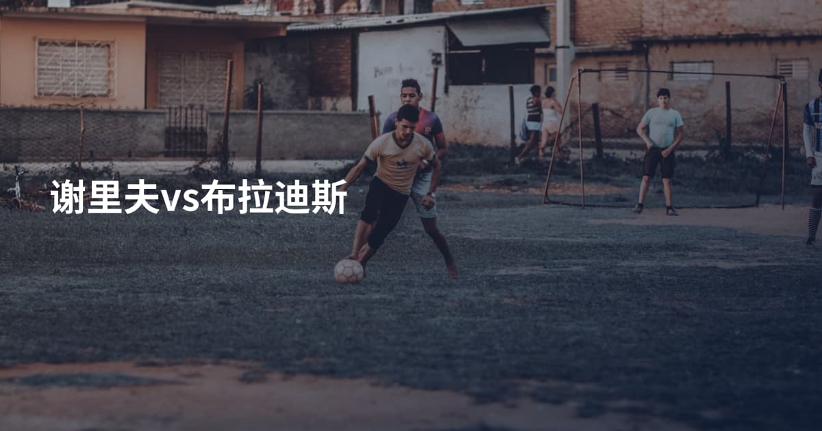 谢里夫vs布拉迪斯
