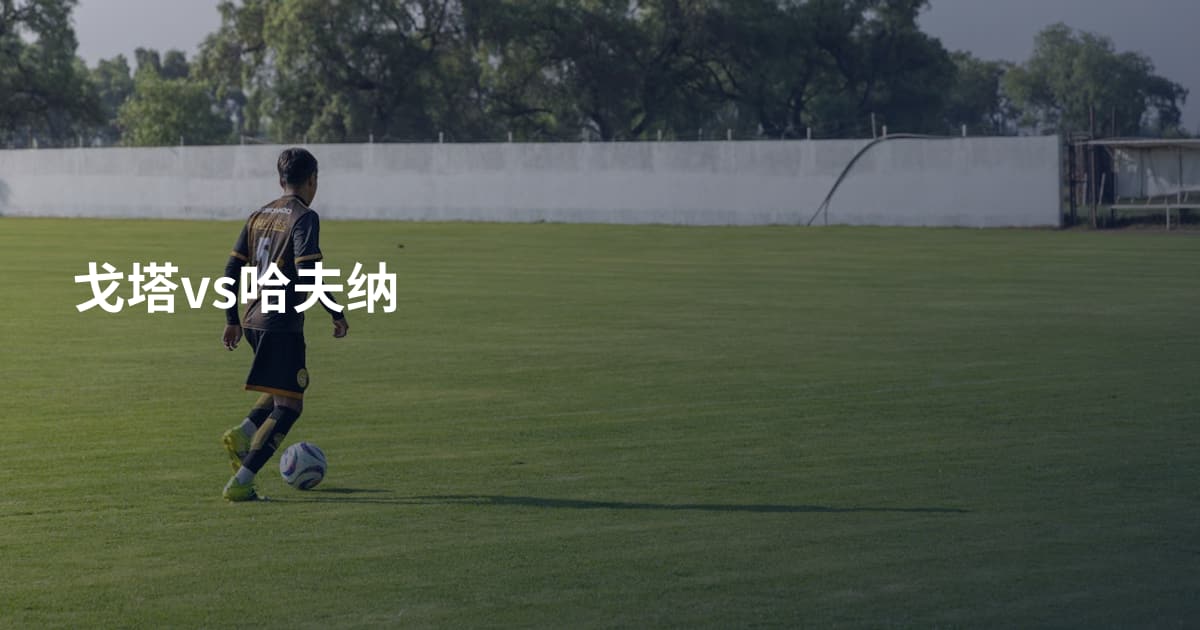 戈塔vs哈夫纳