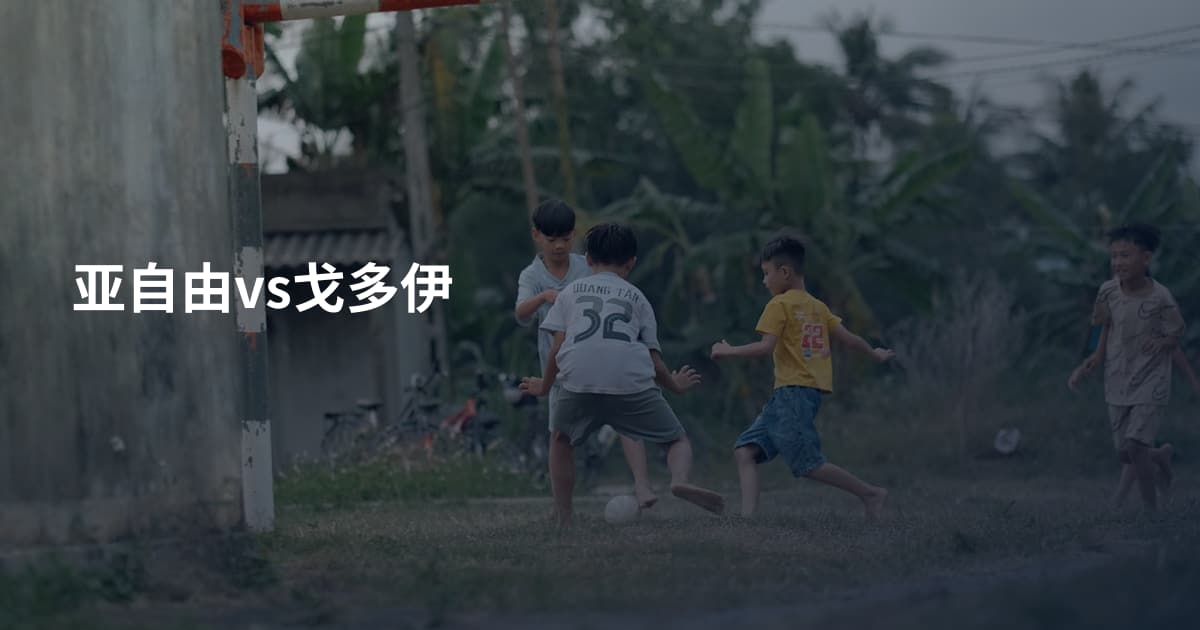 亚自由vs戈多伊