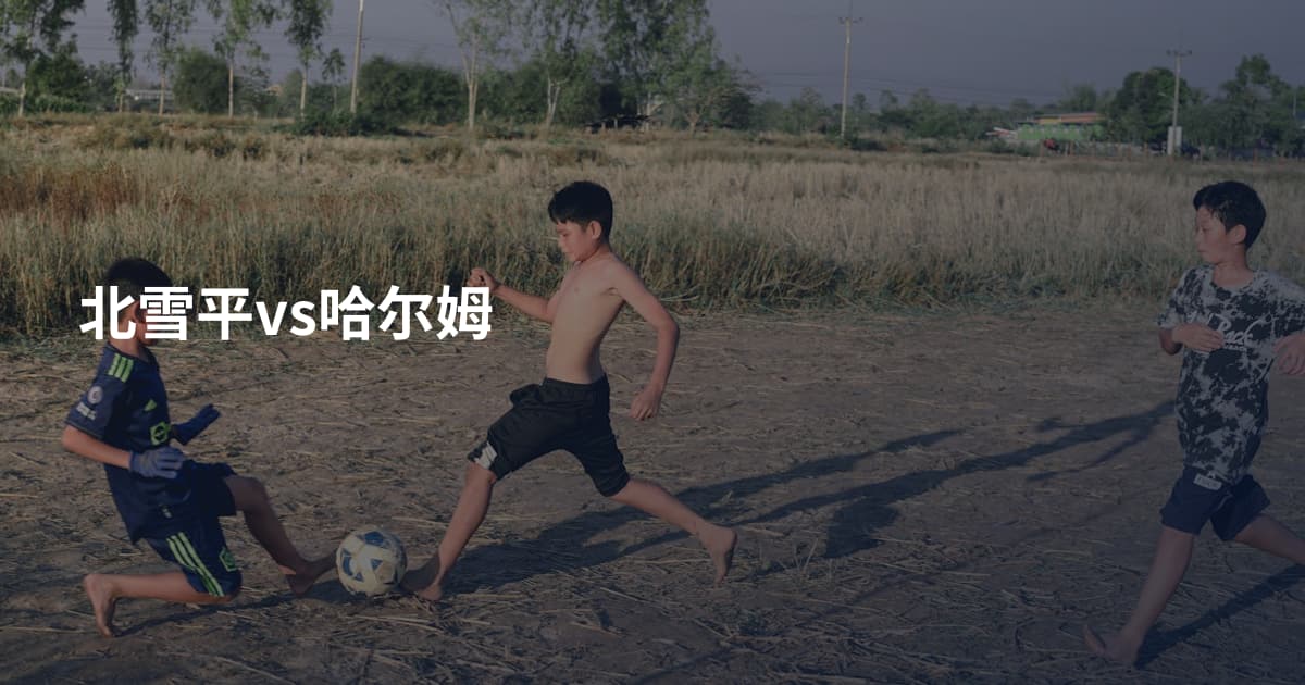 北雪平vs哈尔姆