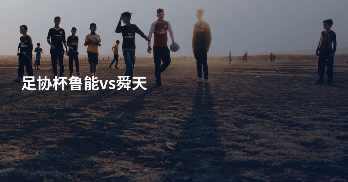足协杯鲁能vs舜天
