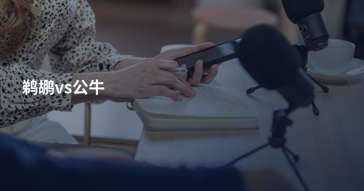 鹈鹕vs公牛