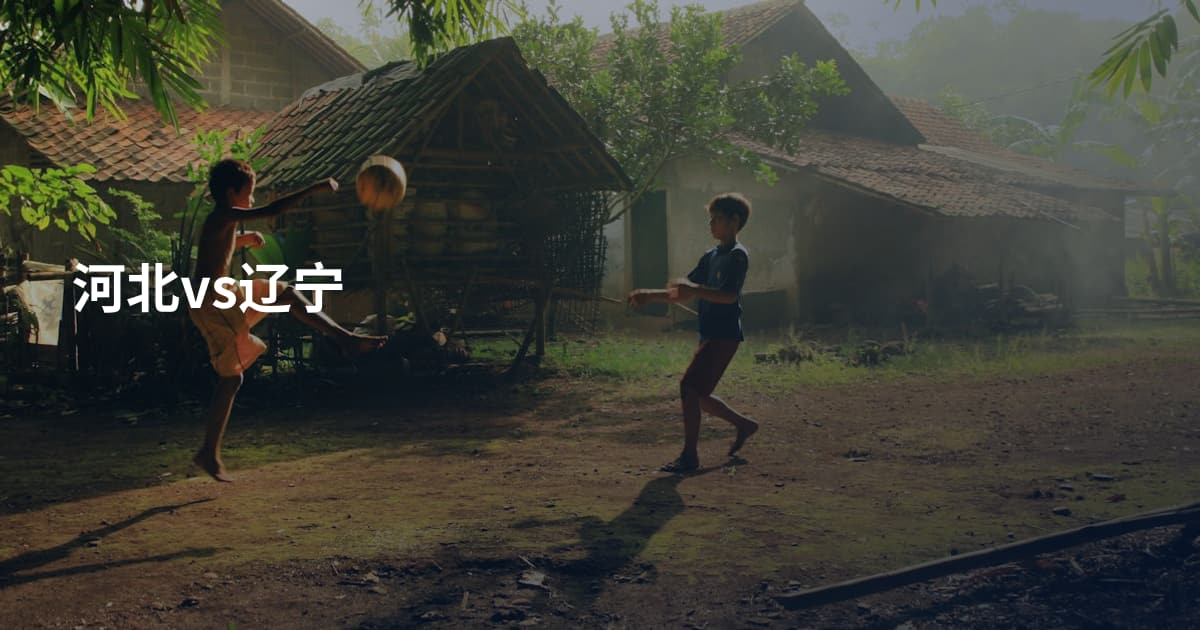 河北vs辽宁
