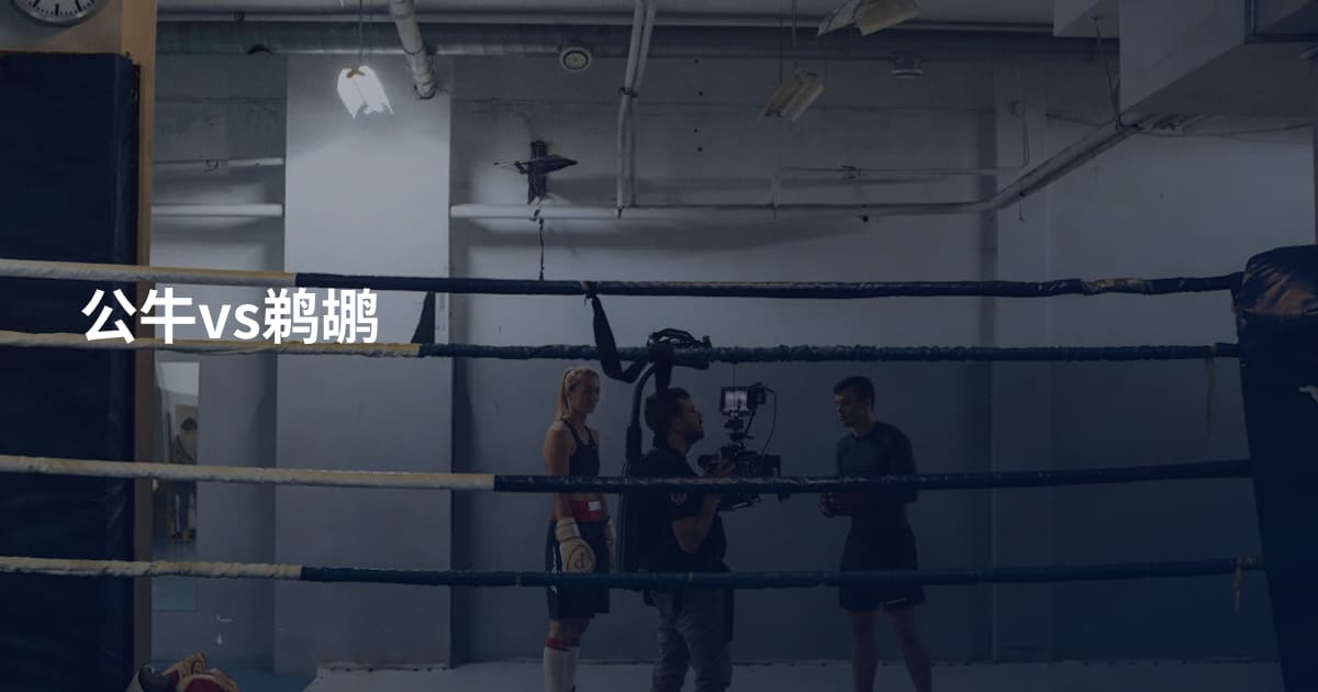 公牛vs鹈鹕
