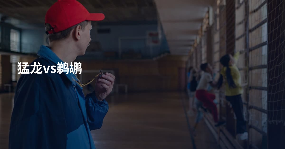 猛龙vs鹈鹕