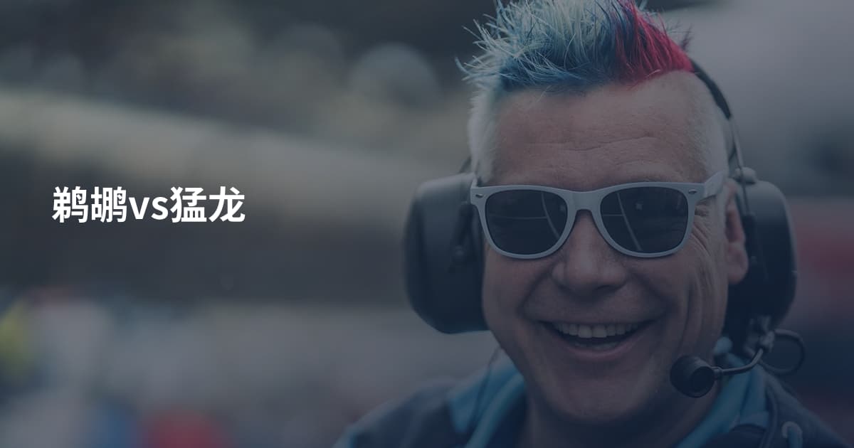 鹈鹕vs猛龙