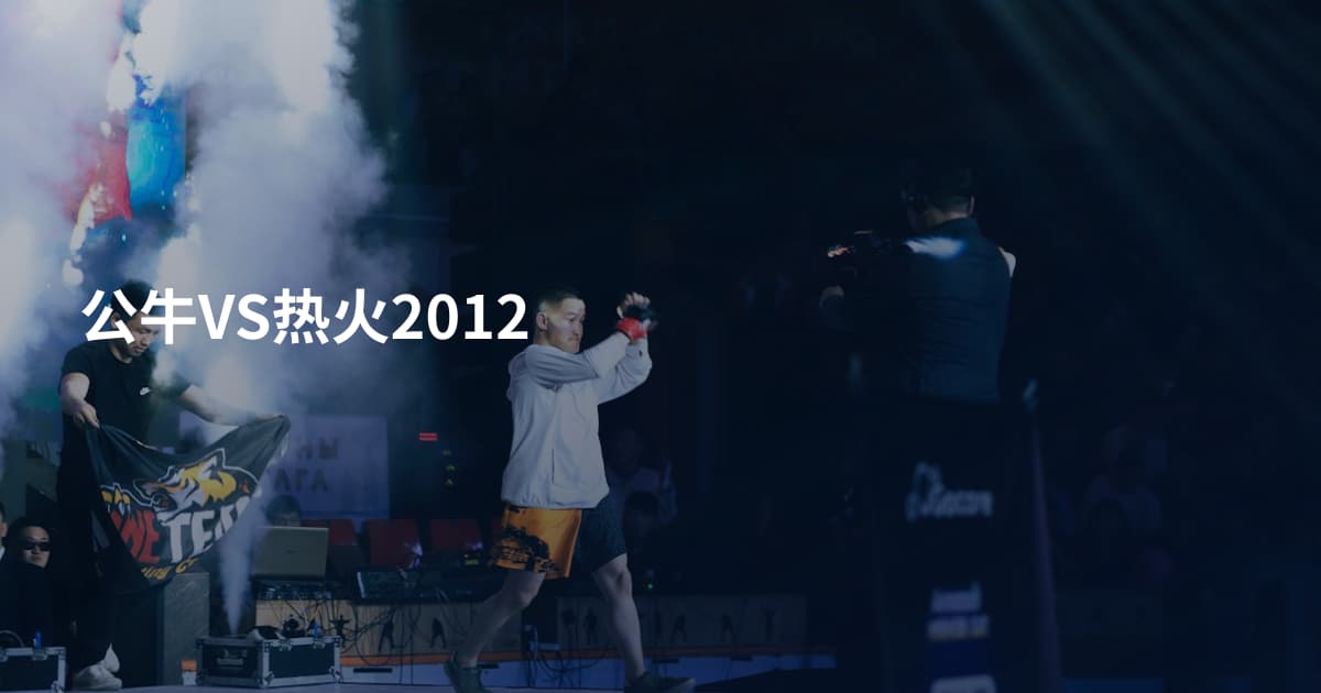 公牛VS热火2012