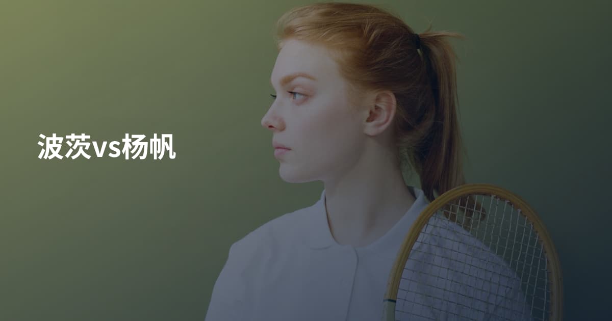 波茨vs杨帆