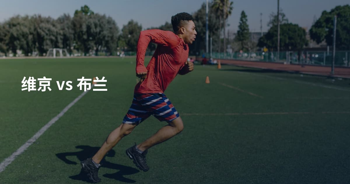 维京 vs 布兰