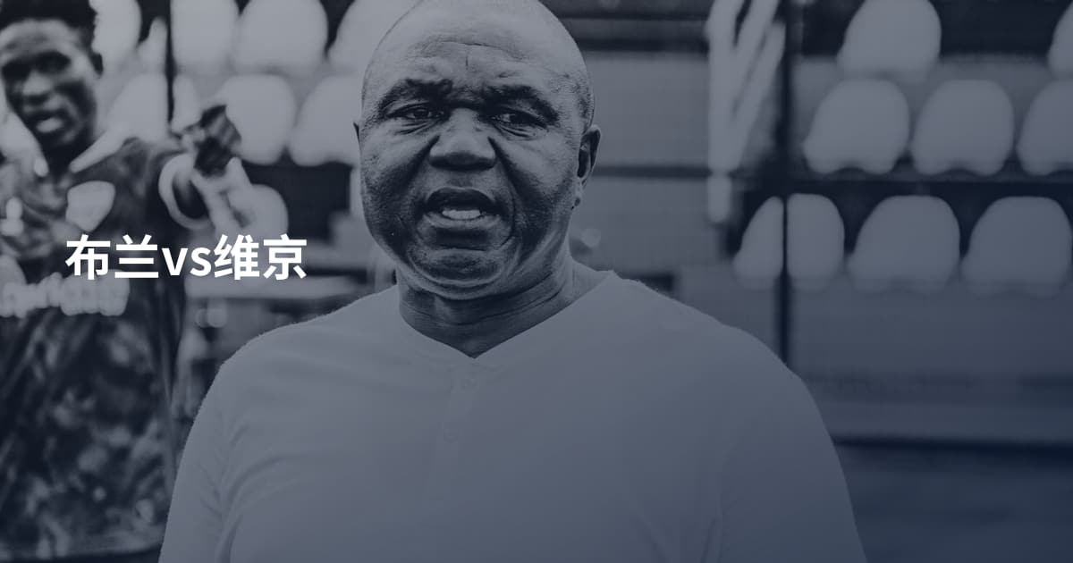 布兰vs维京