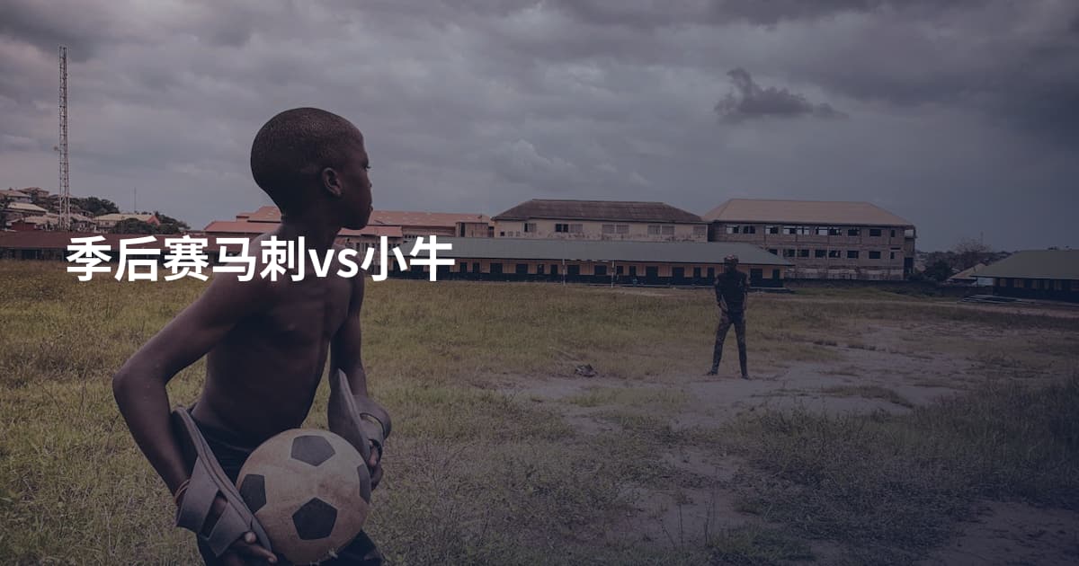季后赛马刺vs小牛