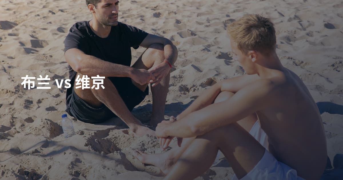 布兰 vs 维京
