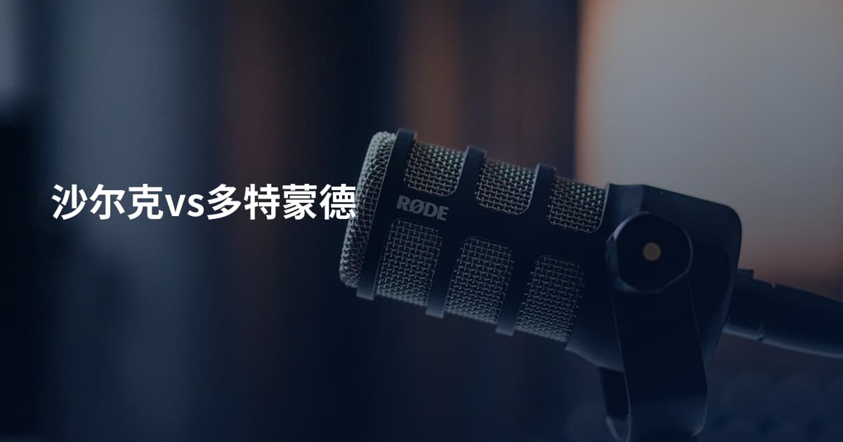 沙尔克vs多特蒙德