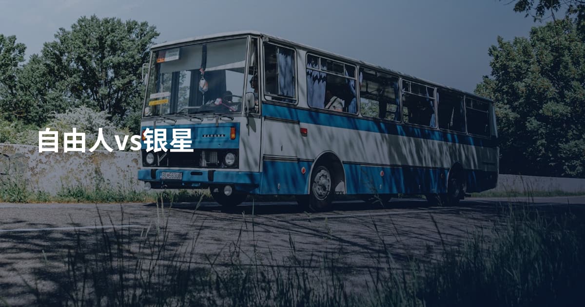 自由人vs银星