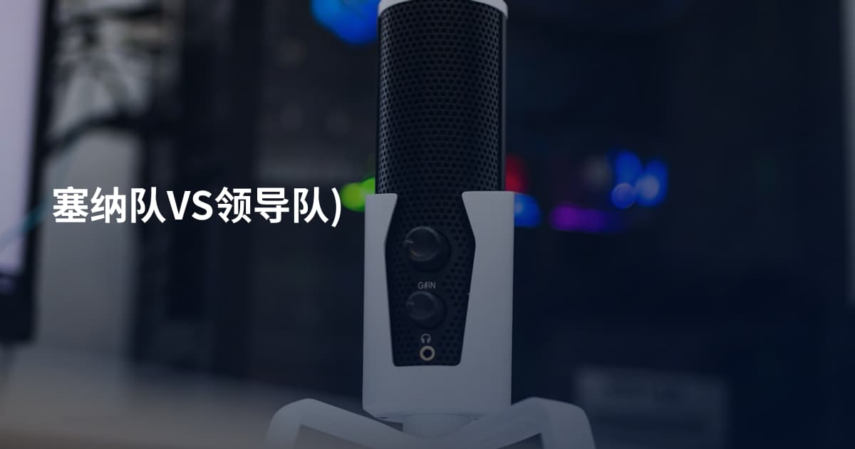 塞纳队VS领导队)