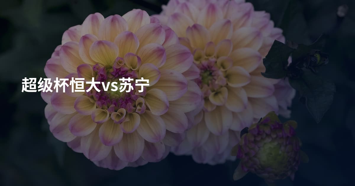 超级杯恒大vs苏宁