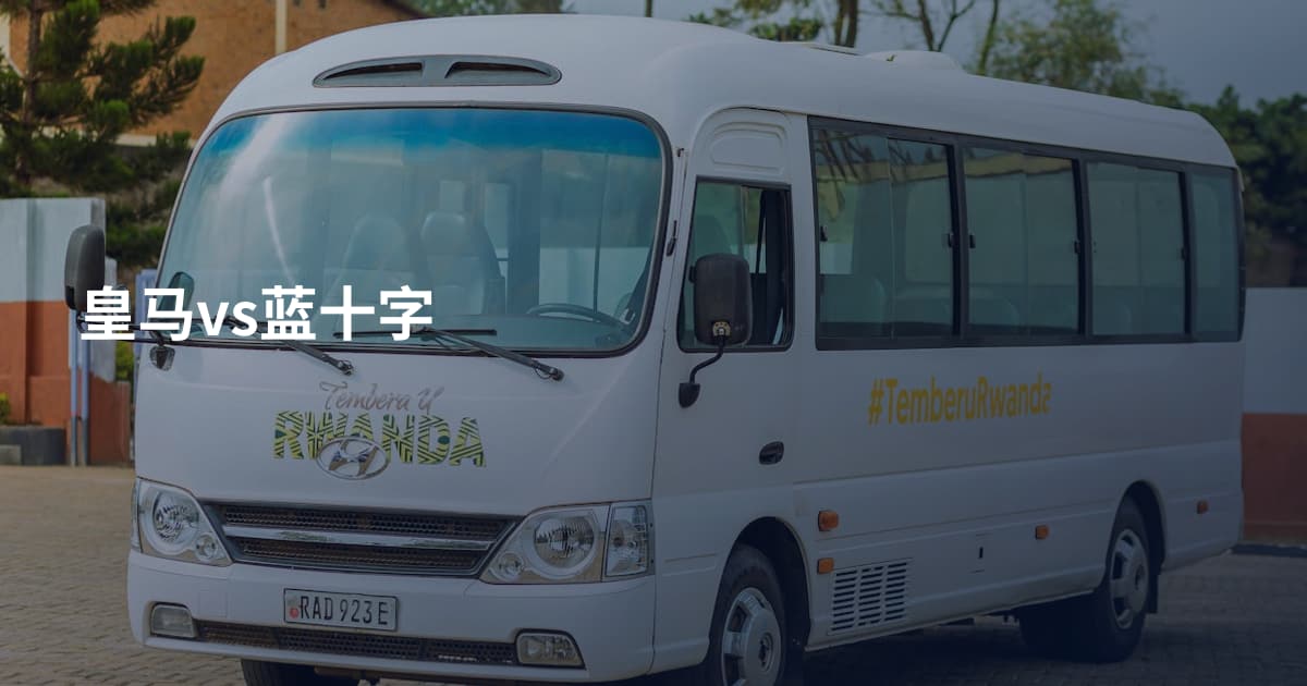 皇马vs蓝十字