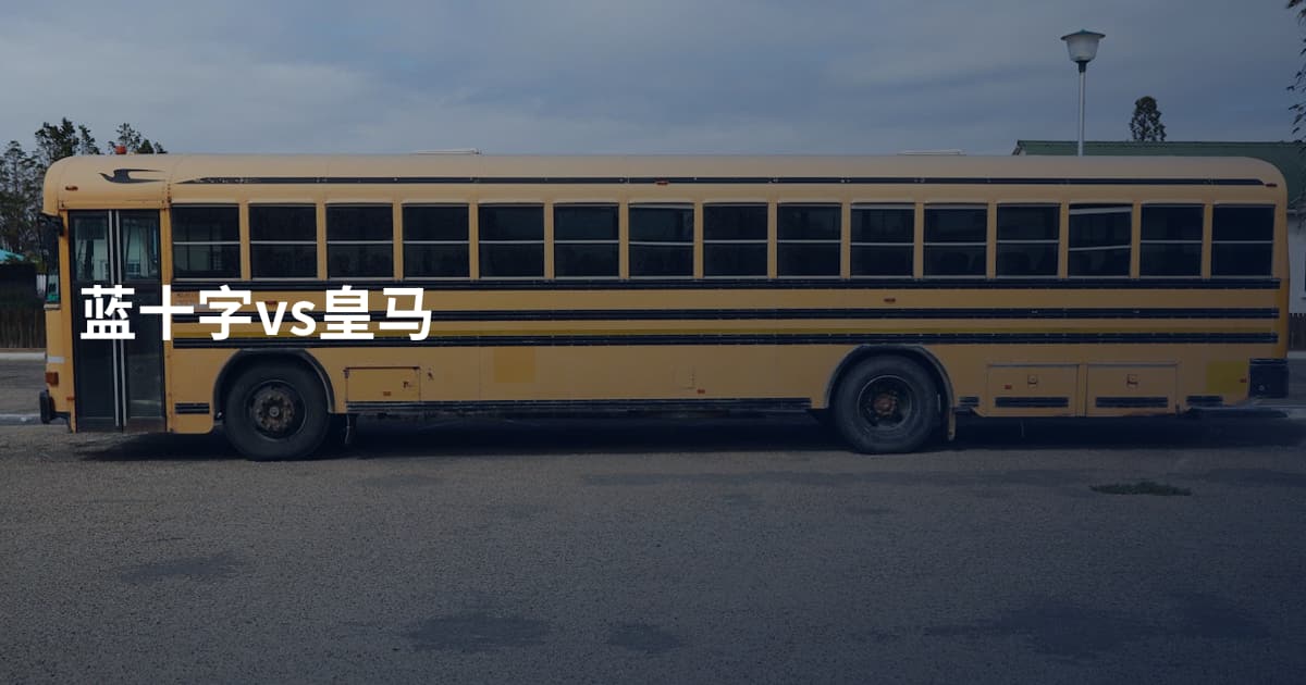蓝十字vs皇马