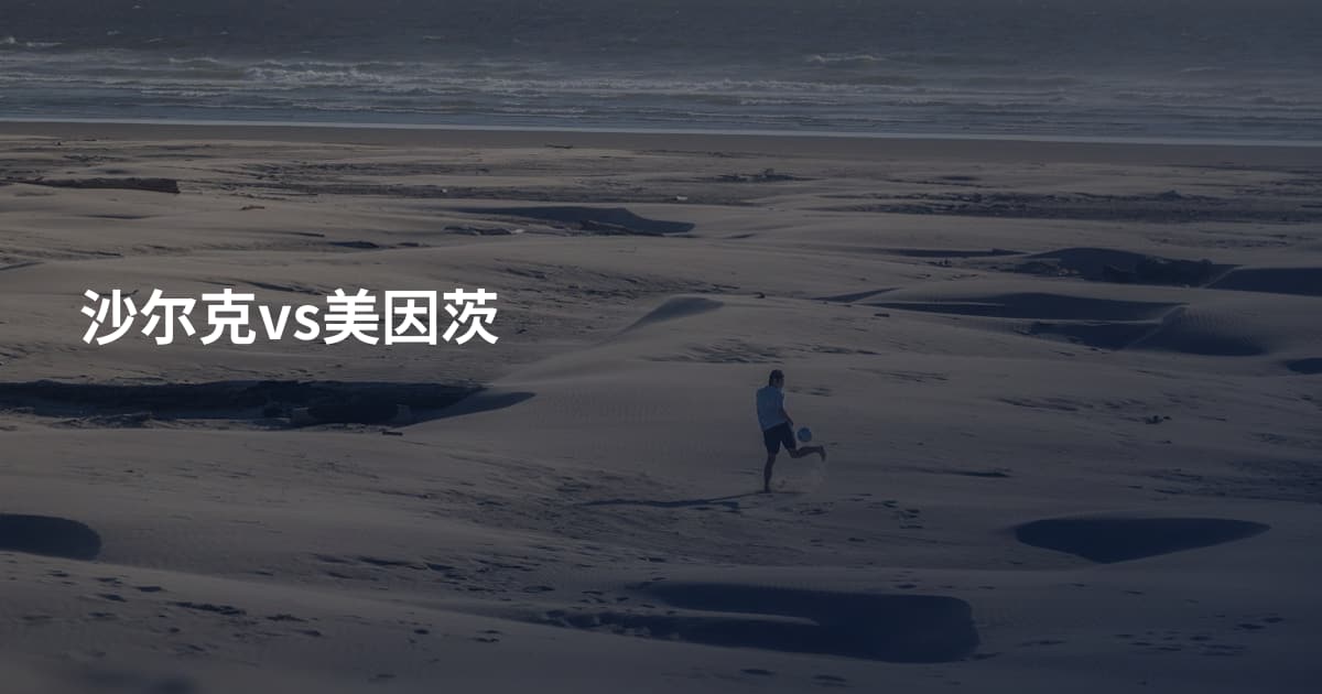 沙尔克vs美因茨