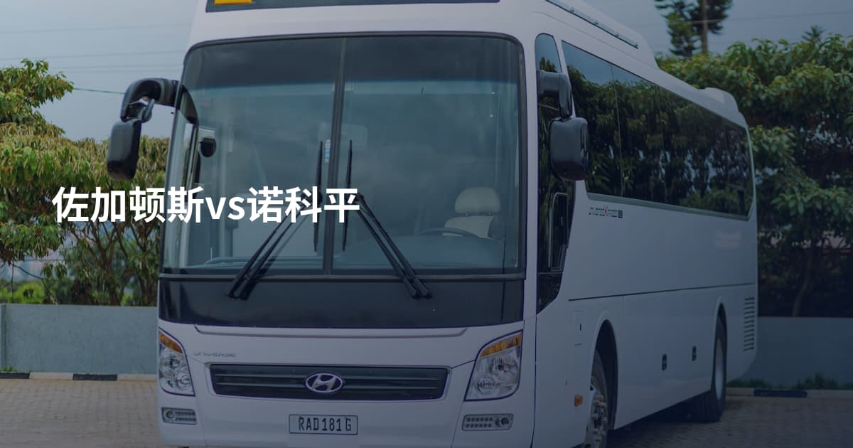 佐加顿斯vs诺科平